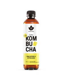 Puhdistamo Kombucha Inkivääri+Sitruuna, Luomu 12x400ml+Pantit